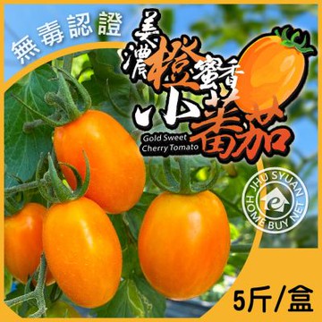 【家購網嚴選】冠軍橙蜜香小番茄x2盒(5斤/盒)