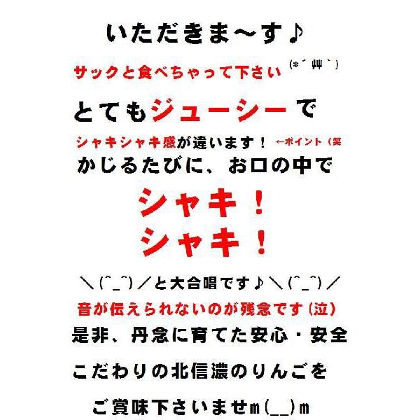 限定クーポンあり長野 サンふじりんご ギフトにも人気  秀品 信州産 5kg11玉〜18玉長野サンふじりんご　ギフトリンゴに　さんふじりんご お歳暮