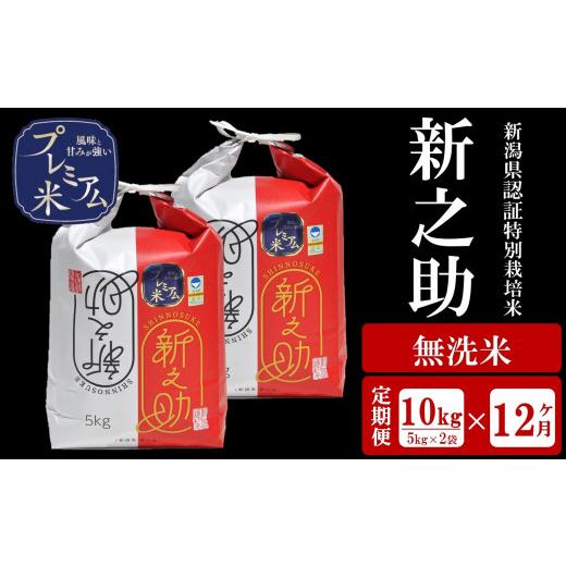 ふるさと納税 新潟県 柏崎市 令和5年産新米甘味の強いプレミアム米 新潟県認証特別栽培米 新之助 無洗米 10kg（5kg×2袋）×12回（計 120kg）[U064]