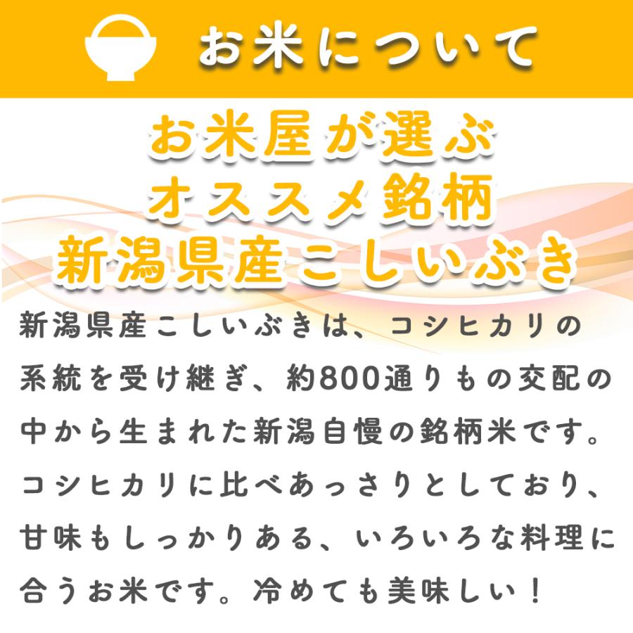 白米 10kg(5kg×2) 送料無料 新潟県産 お米 こしいぶき