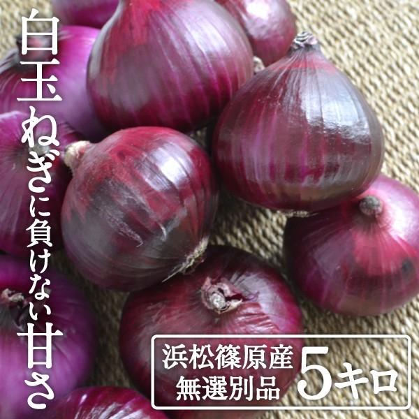 たまねぎ 浜松篠原産 赤玉ねぎプレミアムレッド5kg 辛くない 新玉ねぎ！タマネギ 玉葱