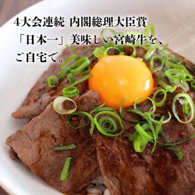 ふるさと納税 美郷町 史上初内閣総理大臣賞4連覇* 宮崎牛 カルビ焼肉 500g(美郷町)