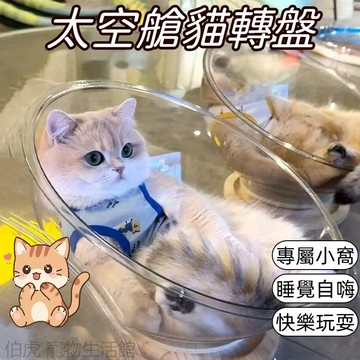 貓咪太空艙 貓太空艙 太空艙貓窩 透明貓窩 太空艙 貓牀 貓跳臺 貓咪睡牀 涼感貓窩 可玩可睡 寵物貓窩 寵物涼窩
