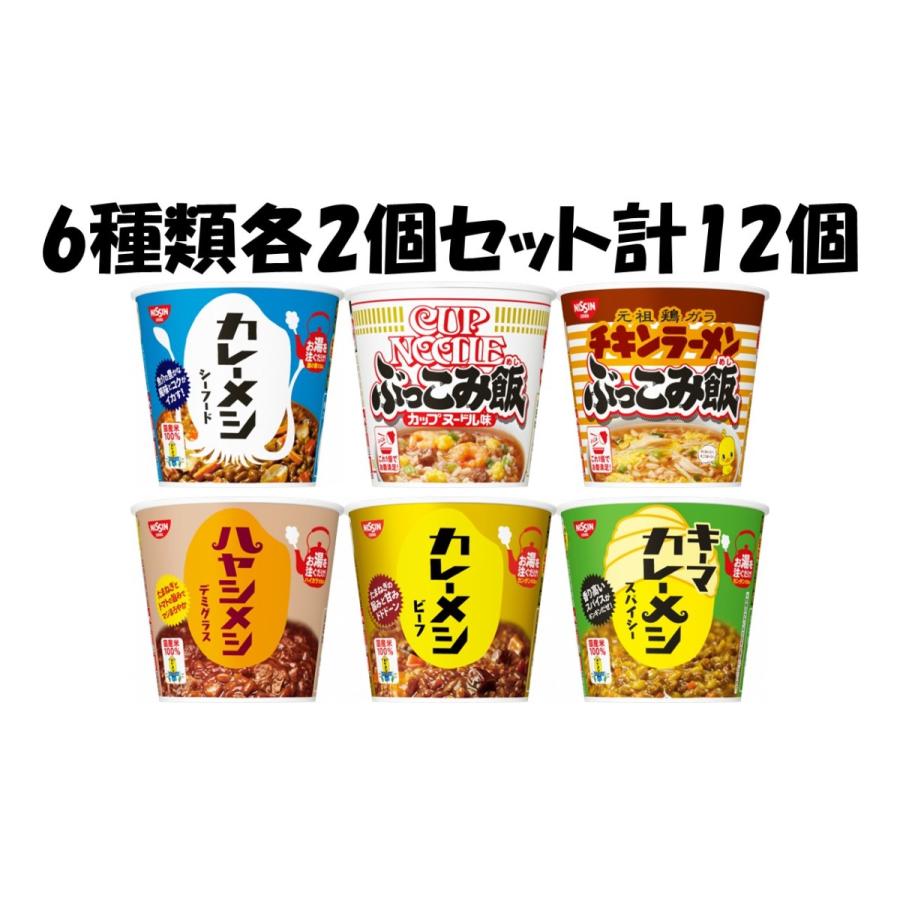 日清食品　カレーメシぶっこみ飯6種類各2個セット計12個　送料無料　沖縄、離島不可