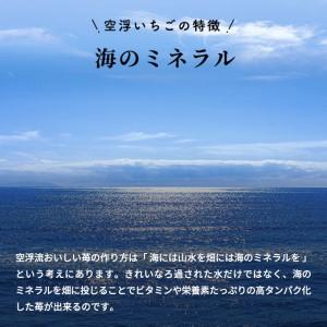 ふるさと納税 空浮いちご 4パック「北海道・沖縄・離島へのお届け不可」 香川県東かがわ市