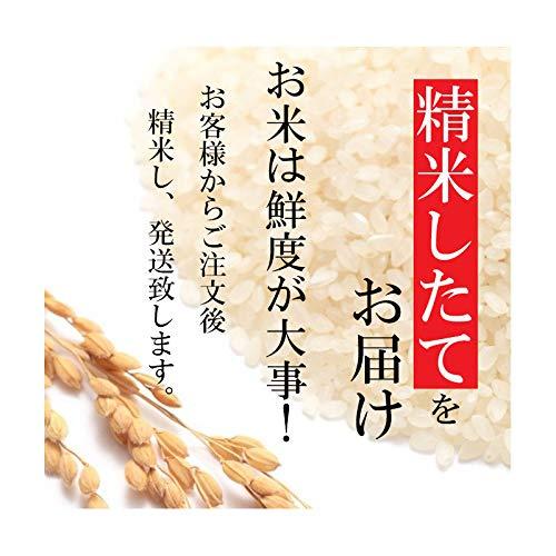 新米 厳選 魚沼産コシヒカリ 精米 (受注精米10kg(5kgx2))令和5年産 お米のたかさか