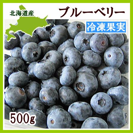 ブルーベリー（冷凍果実）500g(250g×2) 北海道産
