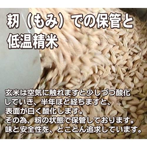 [無洗米] 新潟 農薬無使用米 コシヒカリ 有機肥料 [2kg] 令和4年度 新米