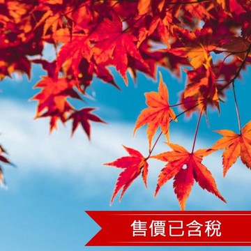 早鳥折1500｜北海道｜紅葉美景.洞爺花火.函館纜車.小樽漫步.熊牧場.三大螃蟹.保住三晚溫泉.五日｜【高雄直飛】-SJP07CCK62
