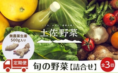 『定期便 全3回』無農薬生姜200gと旬の野菜の詰め合わせ