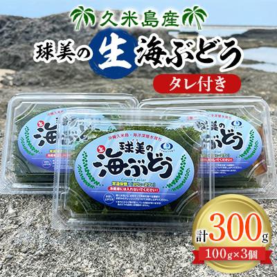 ふるさと納税 久米島町 球美の”生”海ぶどう(100g×3個)