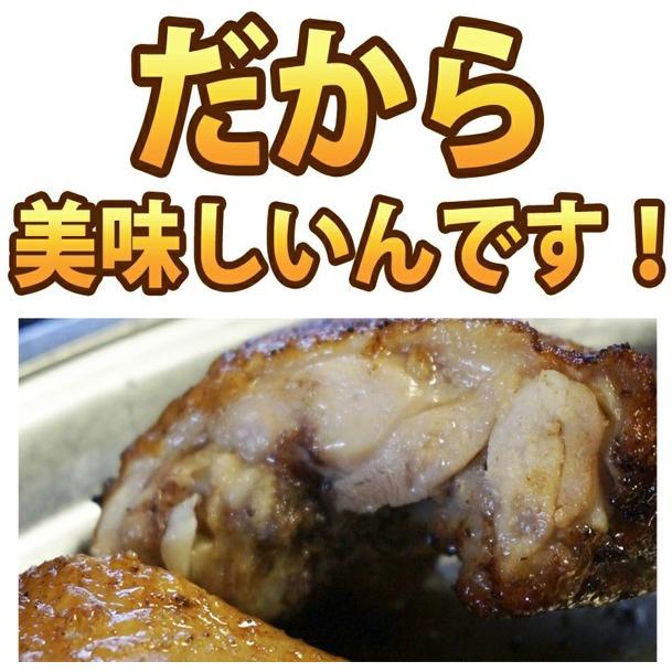 骨付鶏 手羽先 選べるセット 旨い 送料無料