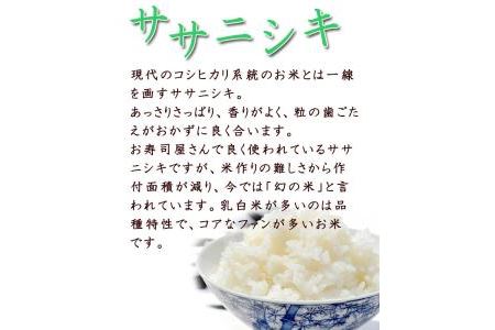 令和5年産宮城県登米市産ササニシキ精米　５kg×２個セット