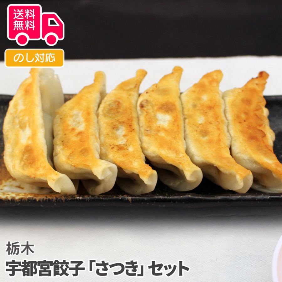 栃木 宇都宮餃子さつきセット プレゼント ギフト 内祝 御祝 贈答用 送料無料 お歳暮 御歳暮 お中元 御中元