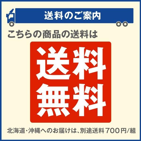 園芸支柱 支柱 新型 パイプ支柱 幅広パイプ支柱セット 1組 パイプハウス 雨よけハウス 雨よけ トマト キュウリ 国華園