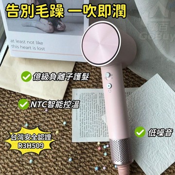 隔日取貨✨保固一年 高速負離子吹風機 390g 恆溫降噪 3分鐘速乾 頂級沙龍/家用吹風機 來芬同款