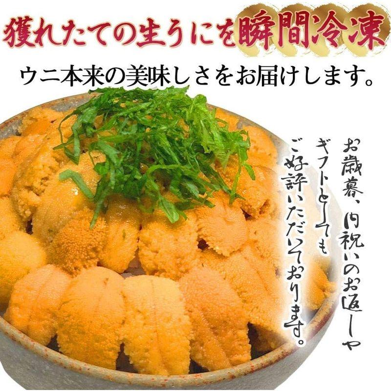 ブランチウニ100ｇ×2 Aランク 冷凍ウニ 冷凍うに200g うに ウニ ミョウバン未使用 ブランチウニ お返し 海鮮丼 うに丼