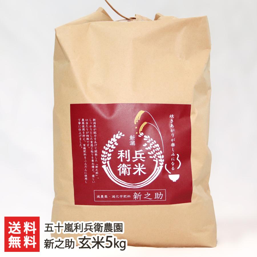 減農薬・減化学肥料 新潟産 新之助 玄米5kg（5kg×1袋） 五十嵐利兵衛農園 送料無料