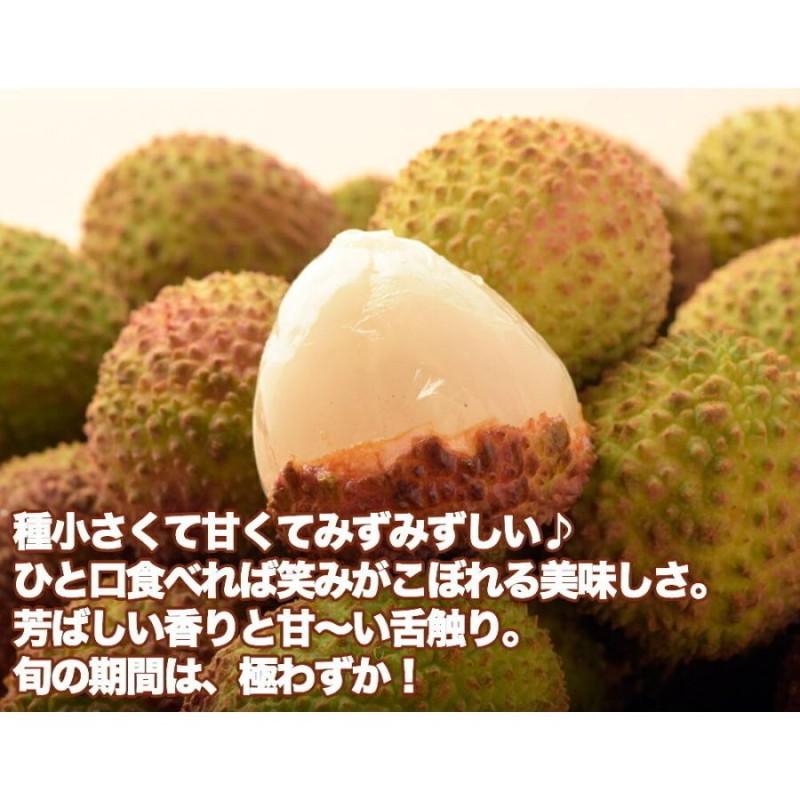 世界的に ライチ 一箱 4kg | www.terrazaalmar.com.ar