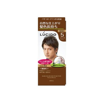 日本 LUCIDO~按壓式染髮霜(50gx2) 4款可選