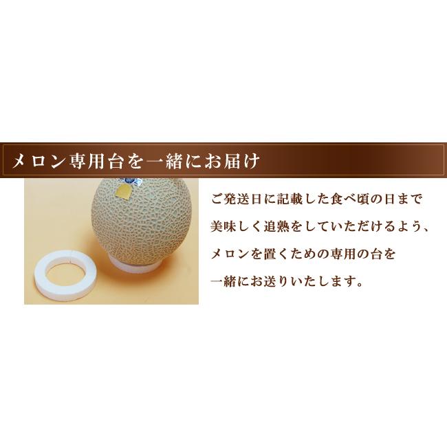静岡産 クラウンメロン大玉サイズ 2個セット 贈答用化粧箱入り  フルーツ 果物 ギフト マスクメロン メロン