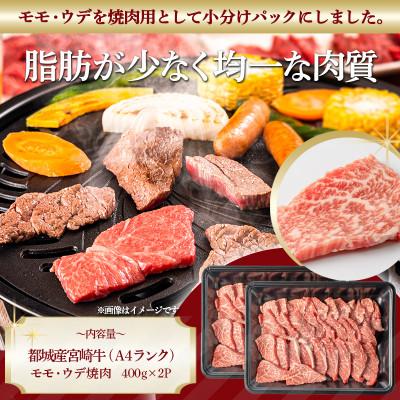 ふるさと納税 都城市 宮崎牛ウデ・モモ焼肉　800g