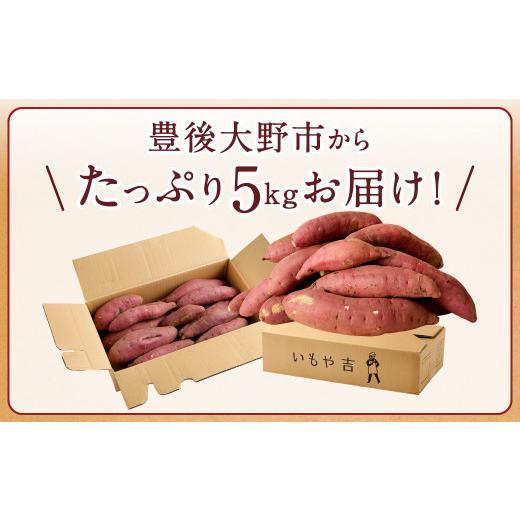 ふるさと納税 大分県 豊後大野市 098-929  紅はるか 5kg B品 甘藷 べにはるか さつまいも サツマイ…