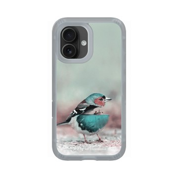 iPhone 16 AirX 流變灰 - Julien Tabet - 水鳥