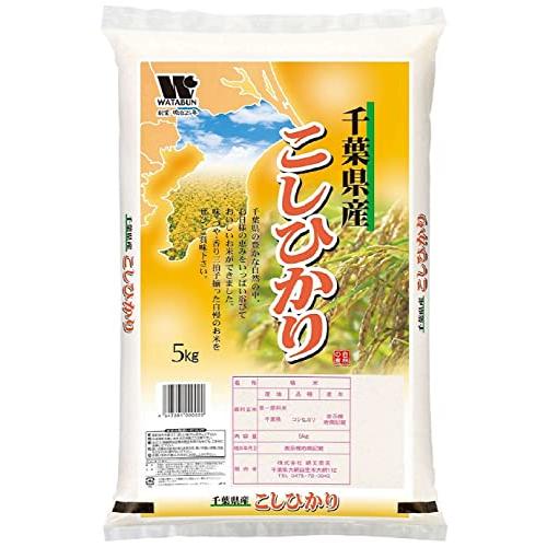 新米  千葉県産 白米 コシヒカリ 10kg (5kg×2) 令和4年産