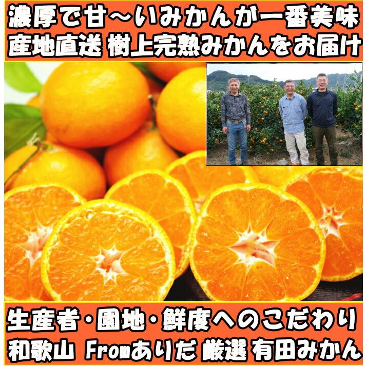 みかん 有田 甘い 美味しい 糖度 和歌山 fromありだ 樹上完熟 早生 温州 10kg l or m サイズ お歳暮 贈答用