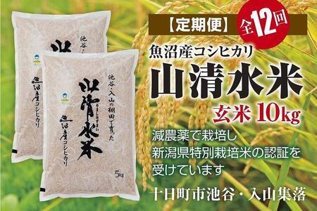 玄米10kg　新潟県魚沼産コシヒカリ「山清水米」