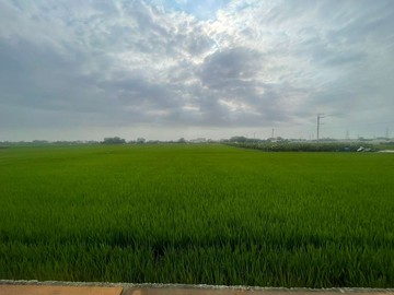 彰化｜ 田中~地形方正漂亮美農地~｜彰化縣田中鎮太平段