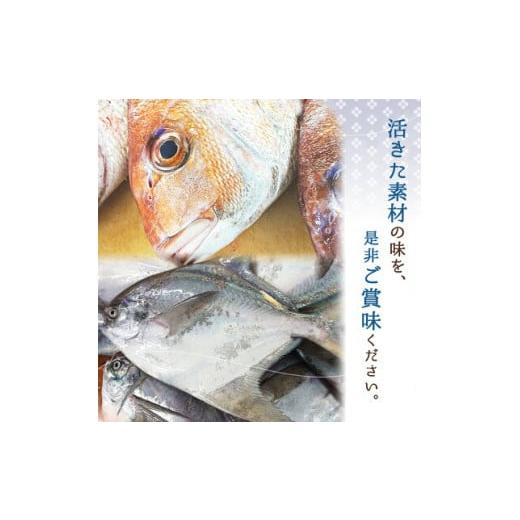 ふるさと納税 和歌山県 湯浅町 AD6101n_鮮魚問屋の 特製和歌山県産 天然鯛とまながつおの 西京漬 6パック（2種×3パック）詰合せ