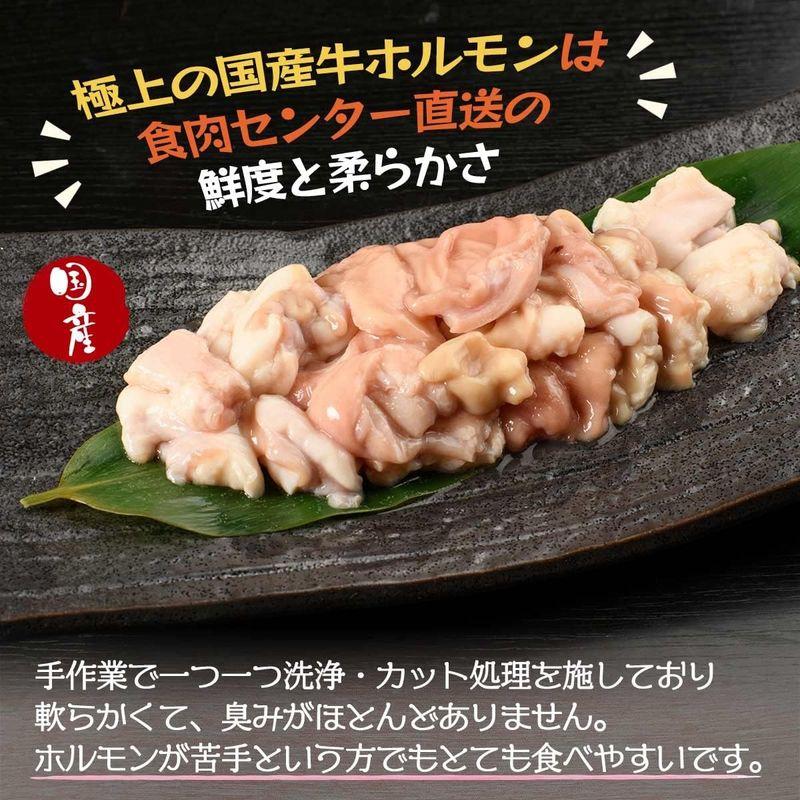 独楽 特撰博多もつ鍋セット 醤油味 2?3人前 300g