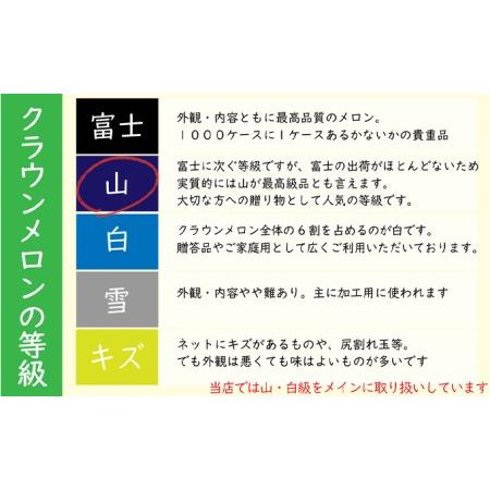 ふるさと納税 クラウンメロン特大玉（1.5kg前後）6玉入り 静岡県森町