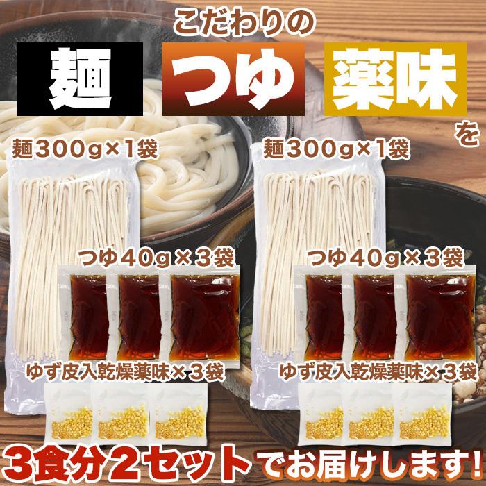 天然生活 SM00010875 もちもちの麺をゆず香る甘口つゆで食す!宮崎名物釜あげうどん6食セット