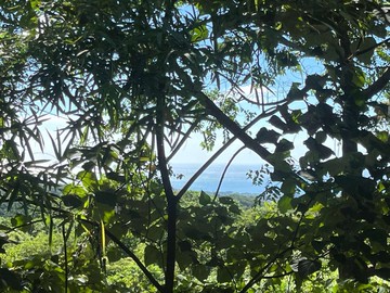 新北三芝大坑段美景農地｜新北市三芝區大坑段