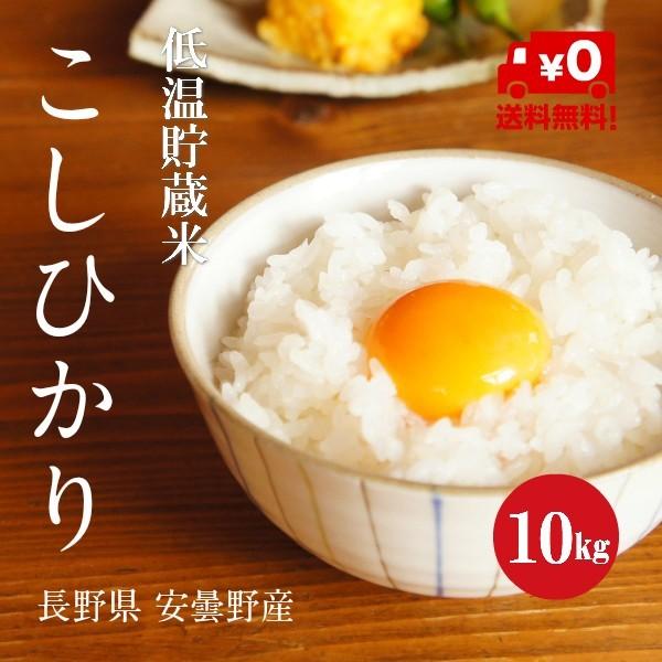 新米 令和５年産 長野県 安曇野産 こしひかり １等米 白米 ５kg×２袋