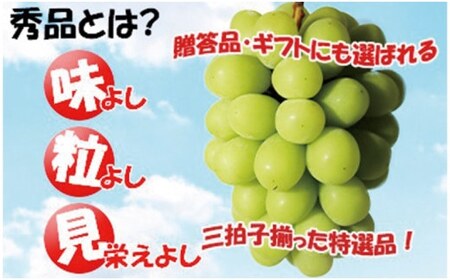 岡山県産 シャインマスカット晴王×ニューピオーネ　大房２種