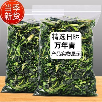 臺灣門市直出🈺免運/萬年青乾菜涼拌菜脫水蔬菜蘇北特產優質萬年青菜乾菜心乾貨蔬菜乾