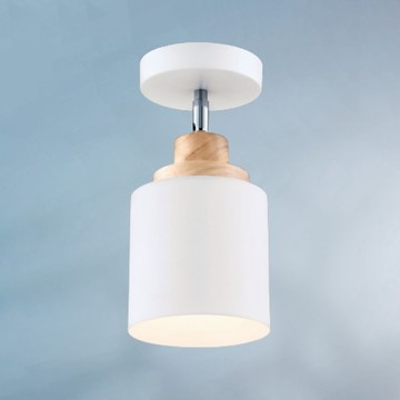 E27 北歐風單吸頂燈 B69-13-64856