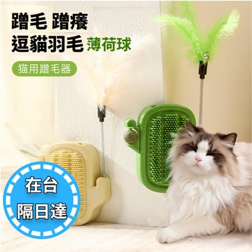 🔥毛老大.隔日達🔥貓咪蹭毛器 貓咪蹭癢器 仙人掌 牆角蹭毛器 薄荷球 逗貓羽毛 貓按摩