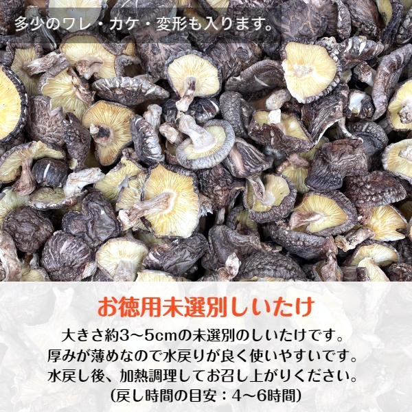 干し椎茸 国産 未選別 300g 大容量 原木栽培 西日本産 しいたけ 椎茸 シイタケ 干ししいたけ 干しシイタケ