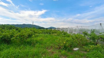 燕巢市區低總價1.98分方正農地(瓊東段)			｜高雄市燕巢區瓊東段