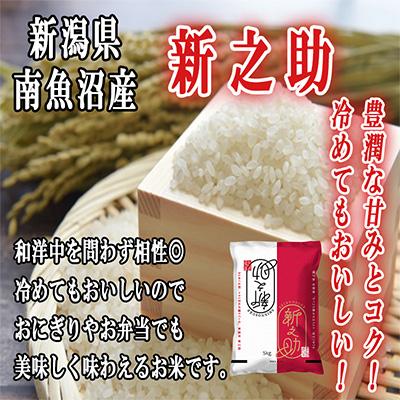 ふるさと納税 南魚沼市 南魚沼産新之助2kg 全6回