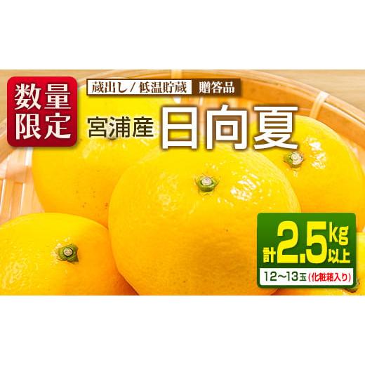 ふるさと納税 宮崎県 日南市 ≪数量限定≫宮浦産蔵出し日向夏(計2.5kg以上)　フルーツ　果物　柑橘　みかん　国産 BA53-23