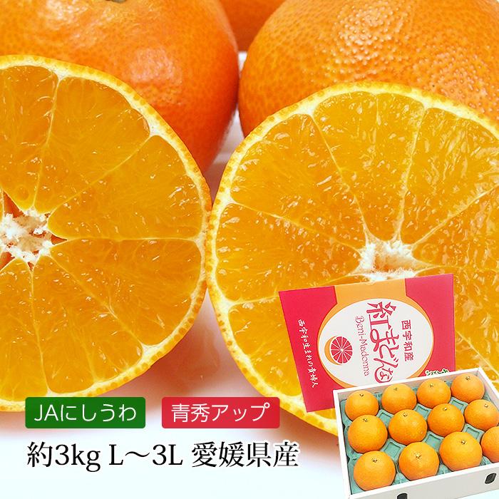 みかん 愛媛県産 紅まどんな 青秀アップ 約3kg L〜3Lサイズ 10〜15玉 化粧箱入