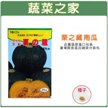 【蔬菜之家滿額免運】G47.栗子南瓜種子1顆(栗の藏)(日本進口.F1.果皮濃綠色.肉濃澄黃色.甜度高.口感極佳.果重約