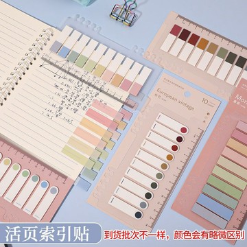 莫蘭迪色索引便利貼小清新分類索引貼塑料活頁可書寫指示貼標記貼