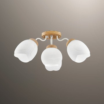 北歐風造型半吸頂燈 F85-09-K2694